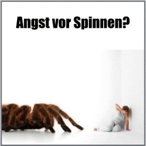 lead-spinnen